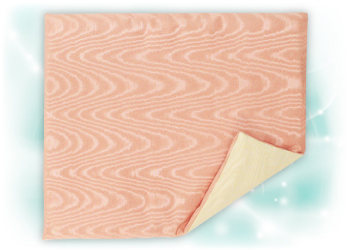 �h�N�^�[�N�b�V������