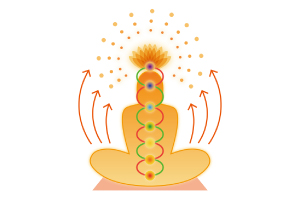 �h�N�^�[�N�b�V�������i�I���K�j�ESP