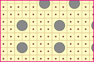 �h�N�^�[�s���[��