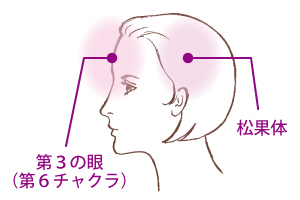 �A�C�}�X�N���ESP