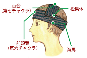 �I���K�x���g���ESP���p