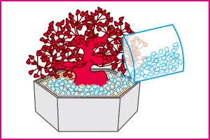 ���g�p�̑O��