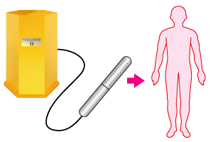 �o�C�^���C�U�[�E��